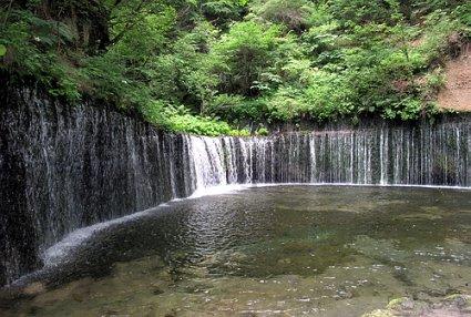 社保缴费中间断了几个月退休前可以补缴吗？游戏画面